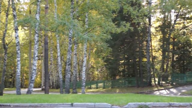 Футаж  Академгородок  Осень  Улицы Воеводского и Академическая   000620