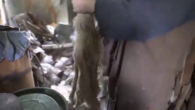 Бабушка Агафья о целебных свойствах Конопляного масла.mp4