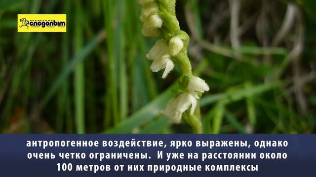 Туризм это хорошо А как природе смотреть онлайн