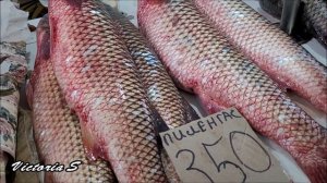 Херсонцы в Керчи. 30 октября | Рыбный базар | Горы вкуснейшей рыбы. Victoria S