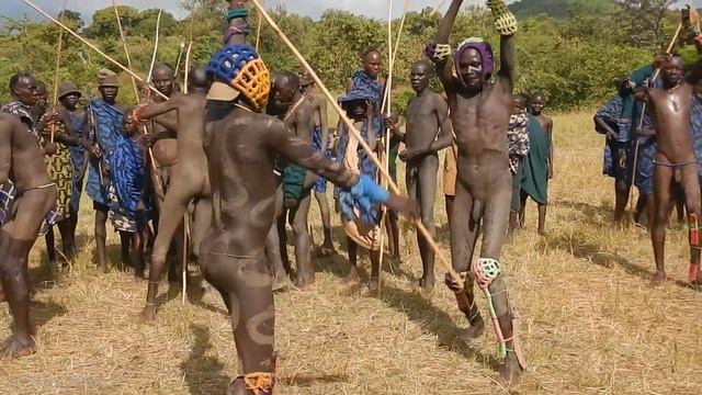 Ritual battles of the "Dong" of the Surma tribe. Бои на палках Донга, Сурма.  [Дикие племена Африки