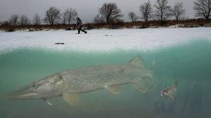 ►Жерлицы 2020-21◄ Что там под льдом?! рыбалка на жерлицы с подводными камерами.