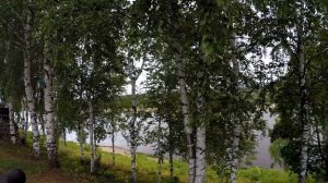 Куда сходить в Кирове. Прогулка с подписчиком