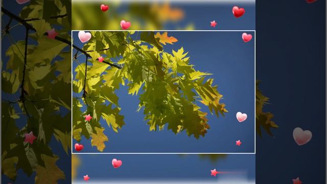 Песня "Смуглянка" смотреть онлайн