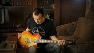 Обзор Harley Benton SC-450 Plus спустя почти 2 года