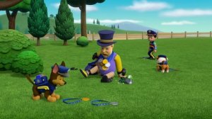 Over 1 Hour of Rescue Knights Adventures ? | PAW Patrol | Cartoons for Kids Compilation