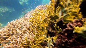 Brayka Bay reef resort Marsa Alam Egypt hotel full movie 4K / Брайка Бей Марса Алам Єгипет відео