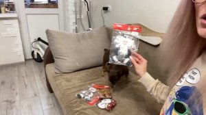 ВЛОГ: Кира пошла в школу в пижаме . Домовой пищит. Украшаю дом к Новому году.