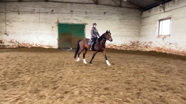 Поездка на конезавод. Выбираем лошадь. смотреть онлайн