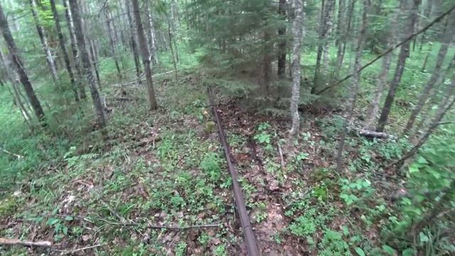 Поход на малую таёжную речку. Форсирую реку гружёный. Поиск металла в тайге. Распаковка Тики-Текс
