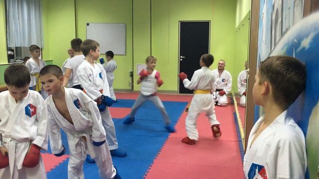 Отработка техники ударов / Работа на лапах каратэ смотреть онлайн