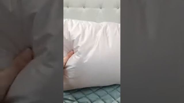 18 августа 2021 г. смотреть онлайн