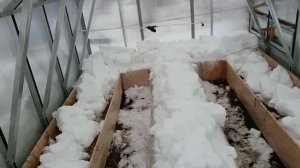 Теплица из профиля для ГКЛ и поликарбоната зимой
