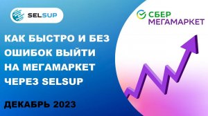 Как быстро и без ошибок выйти на Мегамаркет через SELSUP