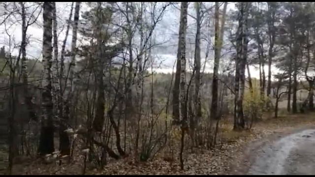 Шушенское. История первого карьера.