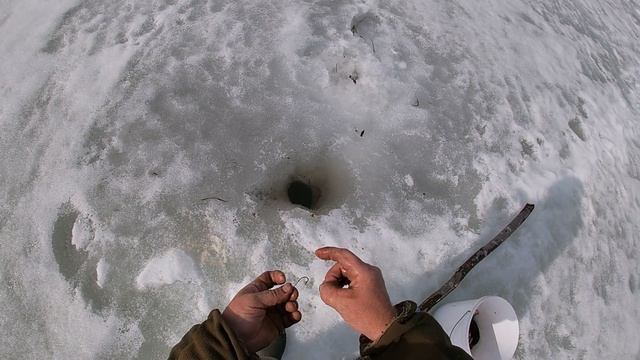 Жизнь в тайге \ Один и надолго \ Часть 11 \ Закрытие зимнего сезона на Печоре смотреть онлайн