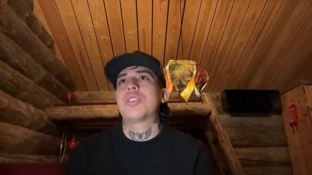 POR ESTO NO ME GUSTÓ FINLANDIA | WESTCOL смотреть онлайн