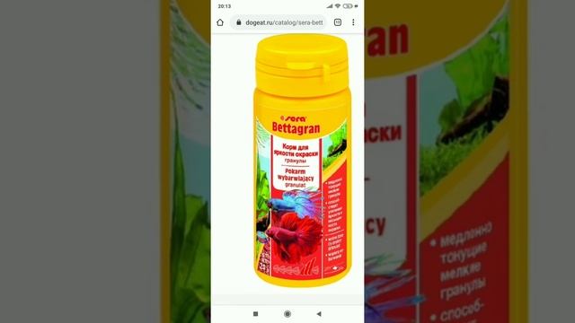 Как ухаживать за рыбкой петушком ?? смотреть онлайн