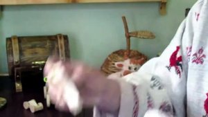 мастер-класс в технике прорезная резьба "Улитка", мастер  по промыслу Владимир Плугатарев