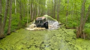 Тверская область, болота Оршинский Мох