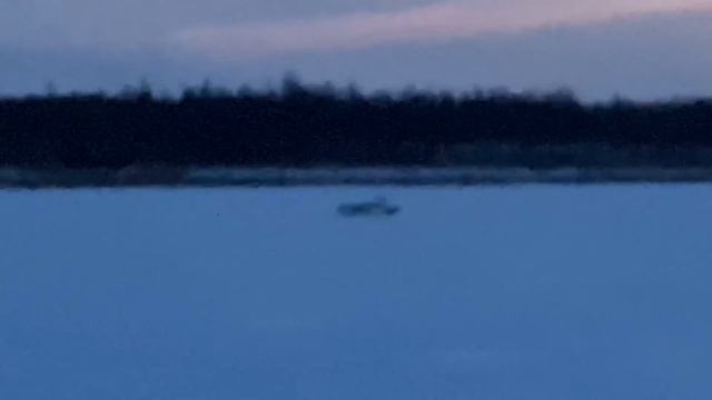 Лови Козла смотреть онлайн