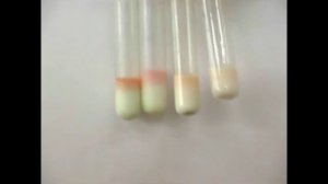 Фальсификация молока