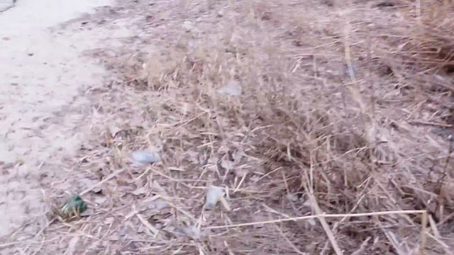 НЕ мусорите смотреть онлайн