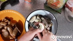 Тихая охота гриб маховик маховик  из семейства белых