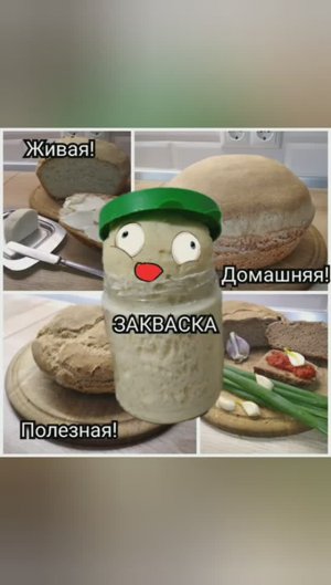Закваска для хлеба _levito madre_. Без дрожжей. Sourdough for bread _levito madre_.