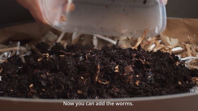 ✅ Cómo hacer compost en casa ♻️? Vermicompostador de interior URBALIVE. ¡Sin olor! смотреть онлайн