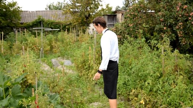 СПАГЕТТИ ИЗ КАБАЧКА С КЕШЬЮ СЫРОМ: РЕЦЕПТ ОТ БРЕНД ШЕФА ВЛАДИМИРА СТУКОТИНА смотреть онлайн