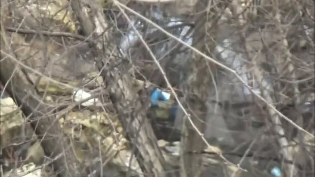 Родник в Ростове забил из под дома смотреть онлайн