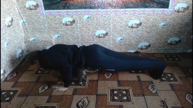 БОЛЕЕ 20 ВИДОВ ОТЖИМАНИЙ! смотреть онлайн