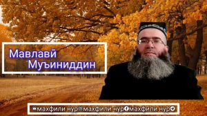 Мавлавӣ Муъиниддин: ҳикояи мӯи Паёмбар (с) ҳатман тамошо кунед бисёр ҳикояи аҷиб аст.