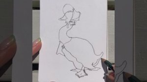 BEATRIX POTTER: Drawing Nature (Jemima Puddle-Duck)