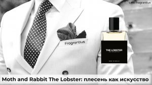 Moth and Rabbit The Lobster: плесень как искусство