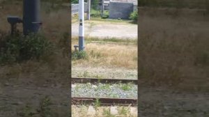 Станция Котельниково 2021 год.