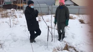 Лозоходство