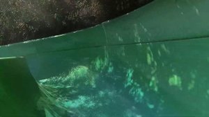 От Первого Лица Обзор Горок Аквапарка Алушты! КРЫМ