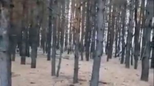 ВЫПУСК-2023 - группа 4Л-19о