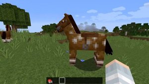 Как приручить лошадь в Майнкрафте? Все возможности лошади в игре