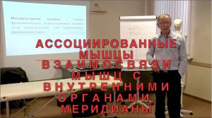 Ассоциированные мышцы. Взаимосвязи мышц и внутренних органов. Меридианы. ИКПК