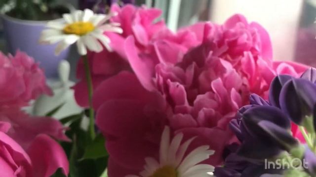 Как красиво снять букет, который вам подарили? смотреть онлайн