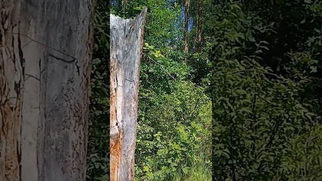 Я всё думала, что, как могла рано закончиться наша жизнь смотреть онлайн