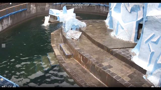 Дети, дайте мне отдохнуть немножко 31.05.2020 смотреть онлайн