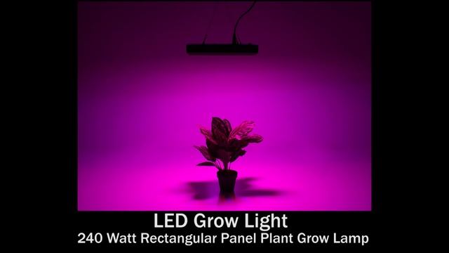 LED Grow Lights