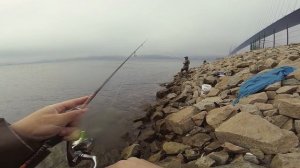 ЧУМОВОЙ Рокфишинг Владивосток. Вот это РЫБАЛКА под мостом на Русский остров. Японское море. 2019/06