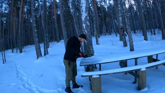 Гуляем в лесу у озера. Купаюсь в снегу смотреть онлайн