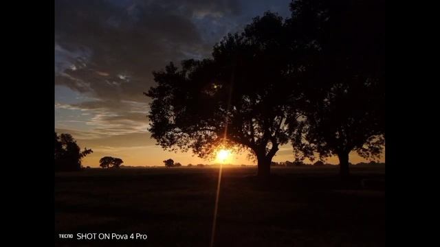 Tecno Pova 4 Pro Unboxing || Tecno Pova 4 Pro Camera Test || Tecno Pova 4 Pro Review In Hindi || смотреть онлайн
