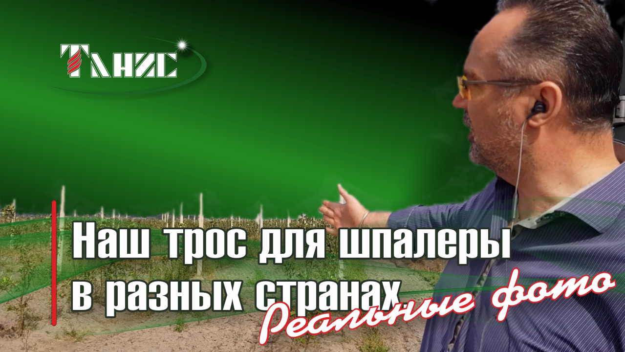 Наш трос для шпалеры, установленный в разных странах. Реальные фото из хозяйств.